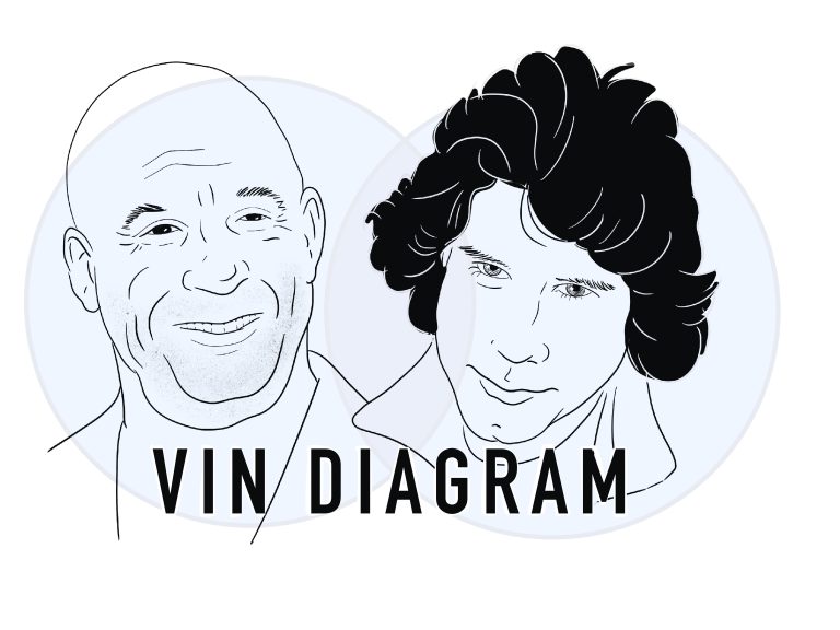 Vin Diagram
